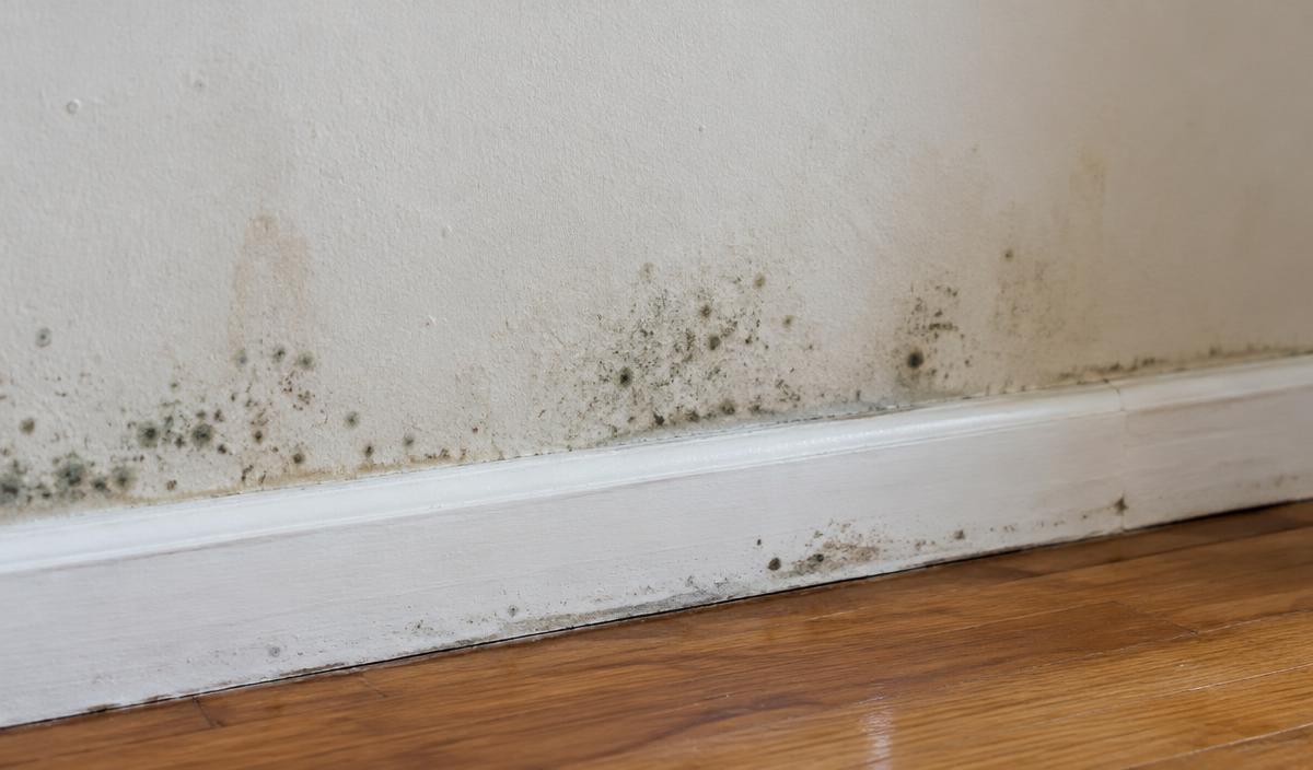 Mold spotting and moisture discoloration on a residential wall and baseboard
